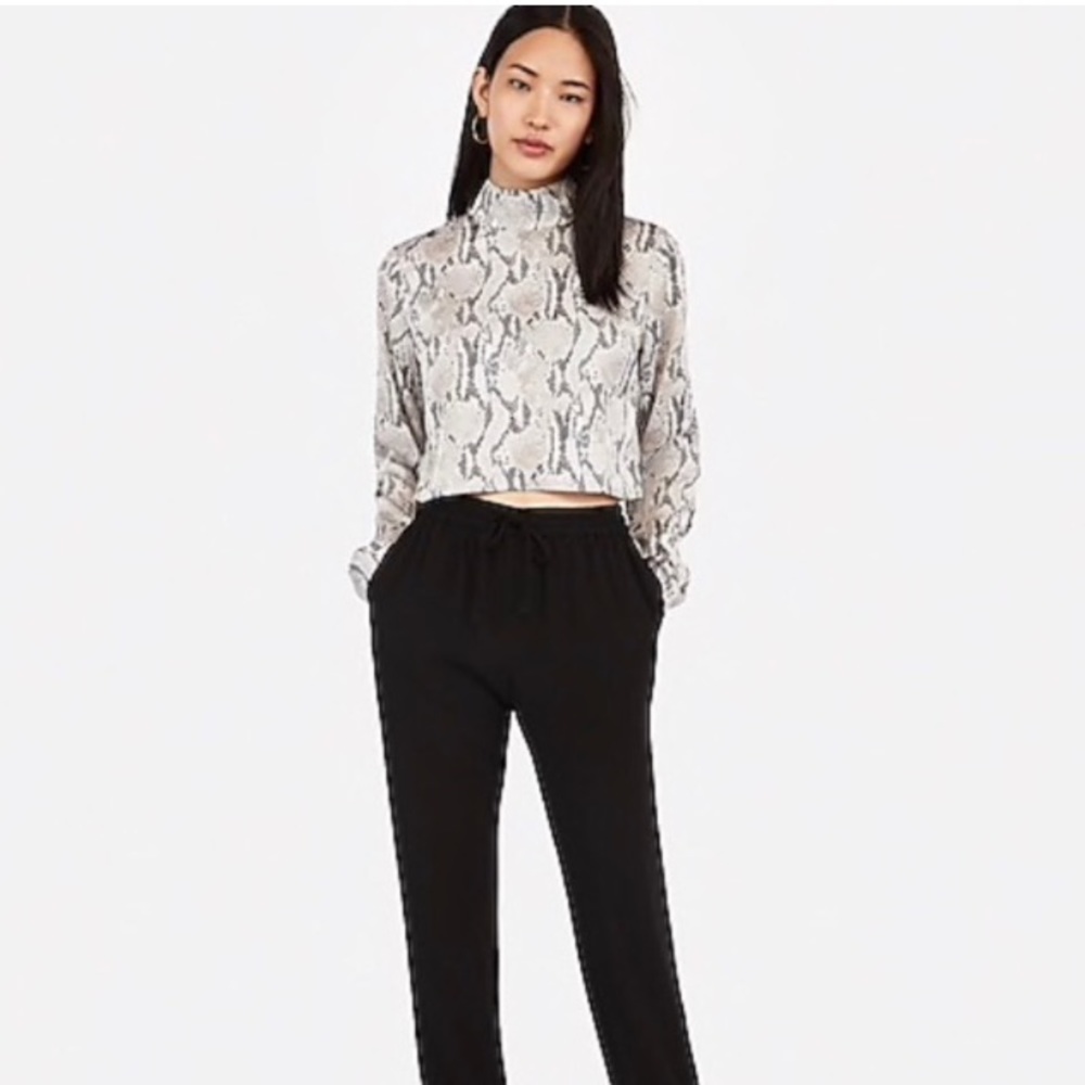 Express mock neck silky snake print long sleeve crop top small